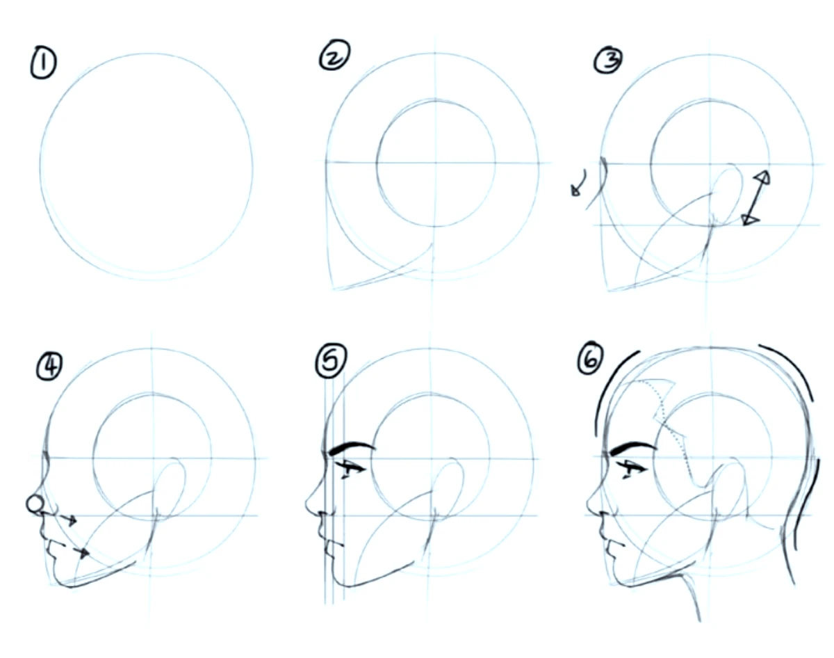 graphique pour apprendre a dessiner un visage de profil