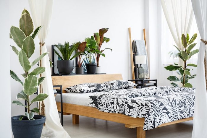 Chambre style scandinave hygge avec plantes vertes, bois et blanc dans l'intérieur, plante verte intérieur, chambre boheme chic déco exotique 