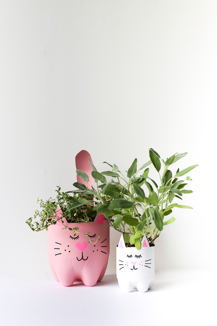 recyclage bouteilles en plastique repeintes de rose et blanc avec dessin motif chat et des plantes vertes a l interieur, idee deco jardin avec recup