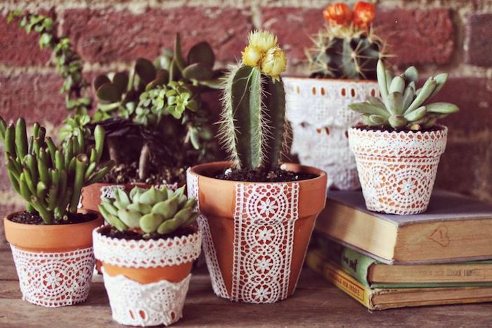 mini jardin de succulents dans pots décorés de dentelle, napperon blanc, idee deco jardin avec recup
