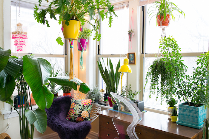 Pot jaune pour une plante verte pendante, idée plantes vertes d'appartement pour la chambre à coucher, deco jungle au coin bureau