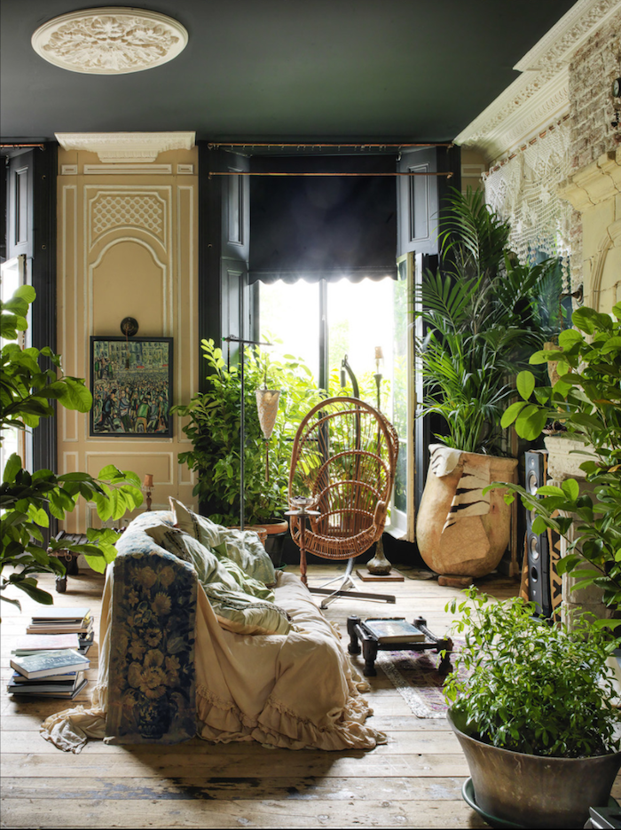 Jungle déco salon, plafond gris sombre, idée chaise balançoire en rotin, plante interieur dépolluante, plante pour chambre a coucher