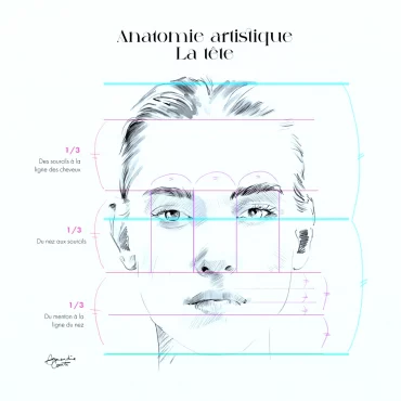 l anatamie du visage pour faire des dessins faciles pour les debutants