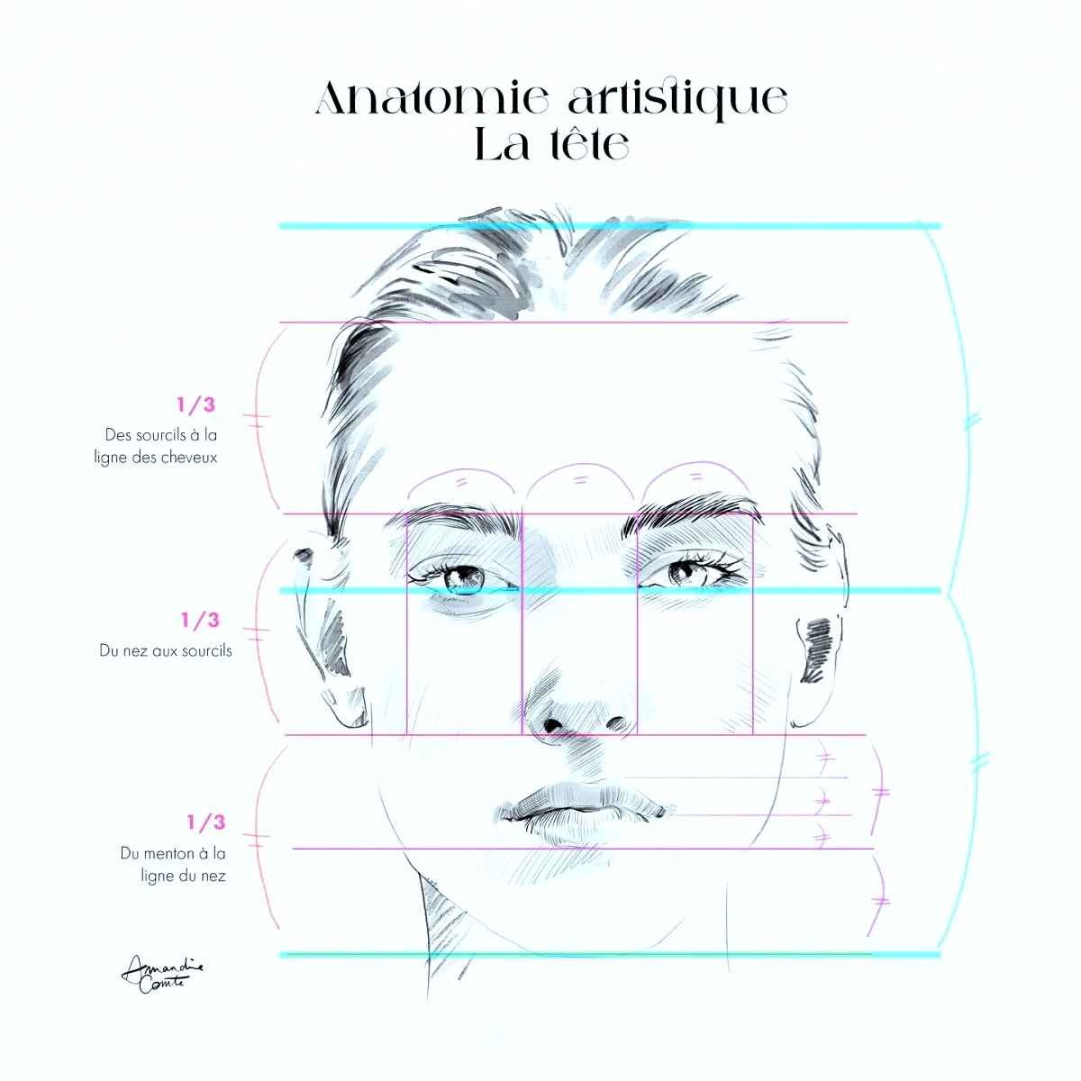 anatomie du visage pour faire des dessins faciles pour les debutants