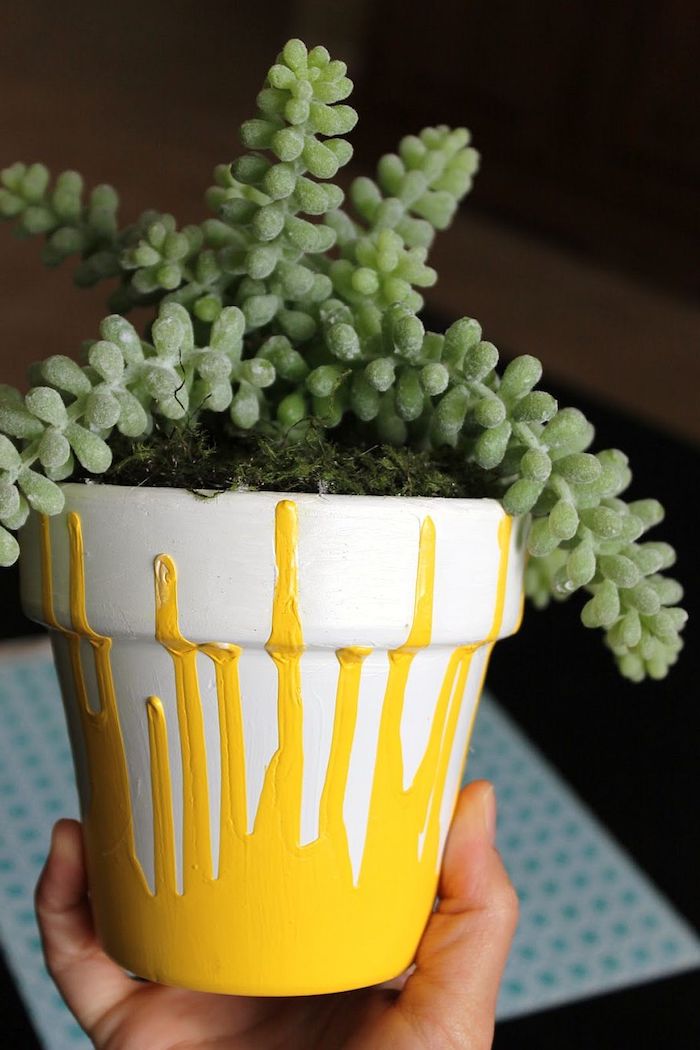 peinture jaune pour customiser un pot de fleur blanc de motif abstrait en peinture, idee plante verte d interieur