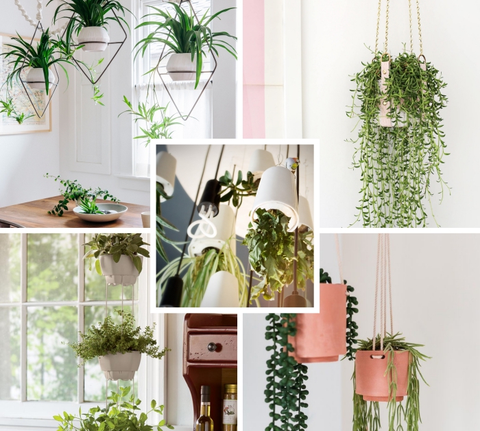 comment décorer son intérieur avec plante grasse retombante, déco salle à manger avec suspensions en métal et plantes vertes