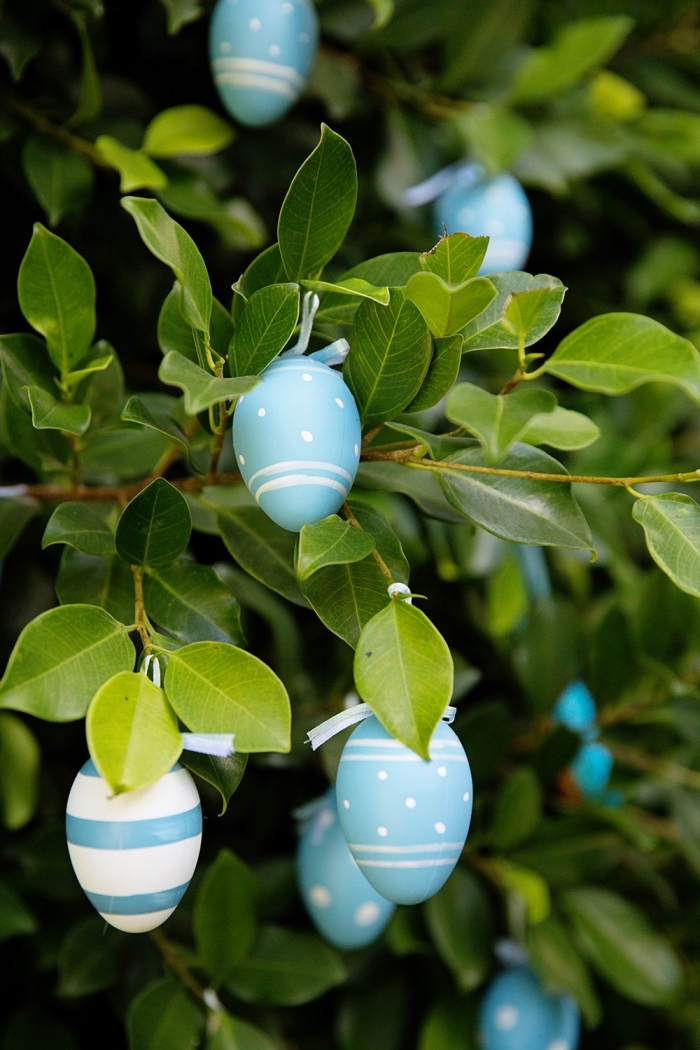 deco de paques pour l'extérieur, idée comment décorer un arbre ou un buisson avec des oeufs vidés et peints en bleu et blanc