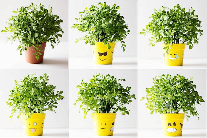 customiser un pot de fleur motif emoji dessiné avec feutre noir sur surface support jaune, plante verte exterieur