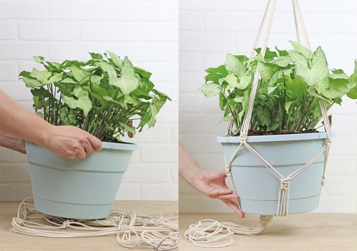 exemple de plante suspendue insérée dans une suspension DIY en corde coton, objet de déco facile à faire soi-même