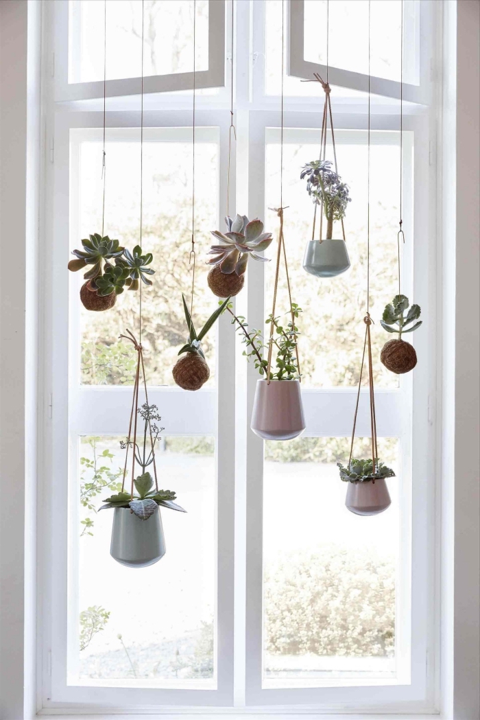 rideau en pot de fleur suspendu avec corde macramé, quelles plantes d'intérieur pour réaliser un rideau végétal