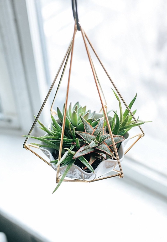 idée de bricolage printemps facile, modèle de terrarium plante avec succulentes dans un bol et une suspension pyramide en métal