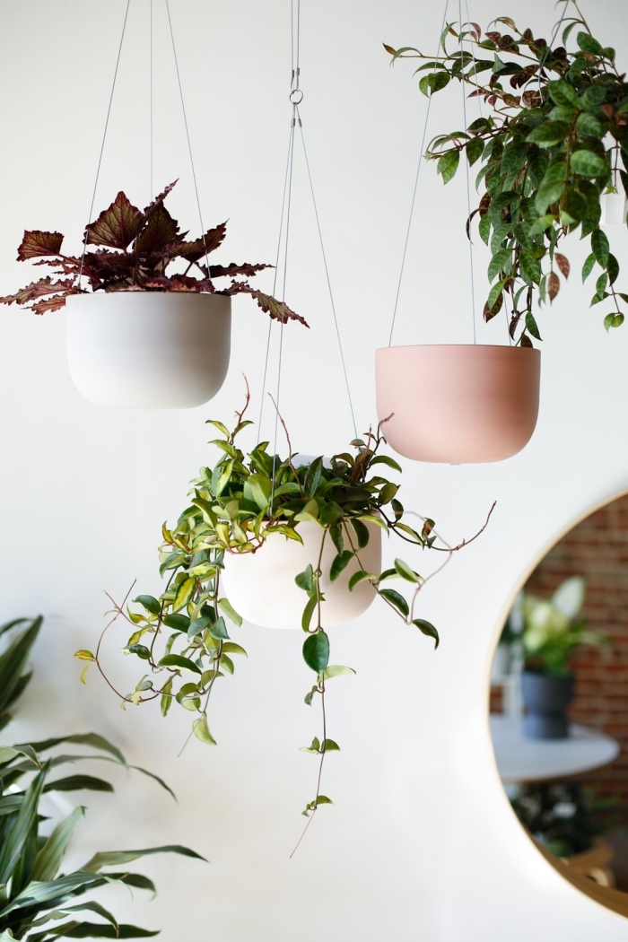 modèles de pot suspendu à effet mat, exemple comment décorer son intérieur avec plantes suspendues et pots modernes