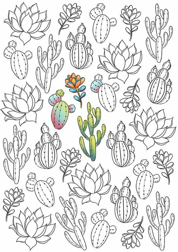 Cactus coloriage difficile, dessin zen en crayon noir sur feuille blanche, idée des différentes styles de cactus à dessiner, dessin a retracer
