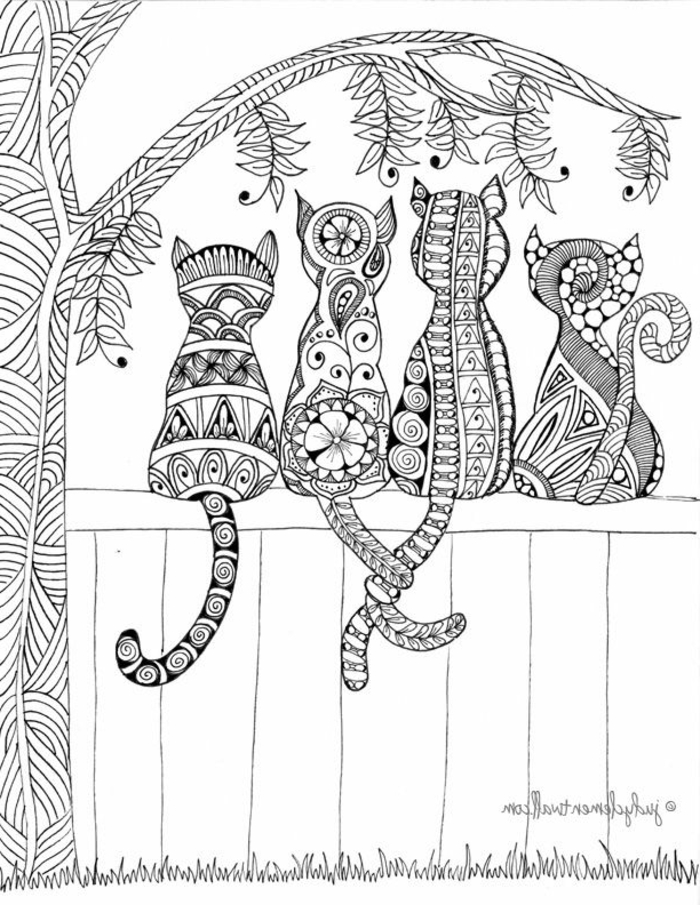 Chatons mignons coloriage mandala adulte, coloriage zen colorier un dessin mandala style dessin sur les chats et l'arbre 