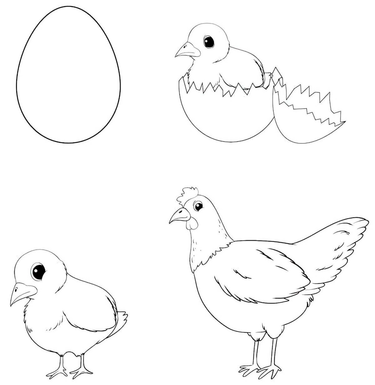 dessin de paques facile poule oeuf poulet etape plumes oiseaux domestiques