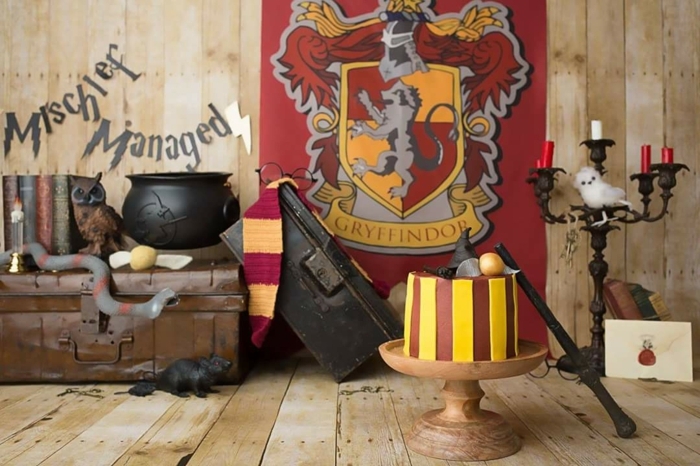 Harry Potter gateau anniversaire fille, quelle est le plus beau gateau du monde, originale décoration de table