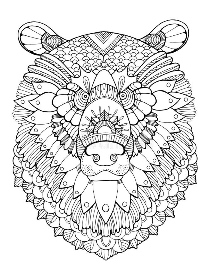 Ourse mandala adulte, coloriage adulte loisir créatif art zen à colorier, tête d'ourse dessin motif mandala 