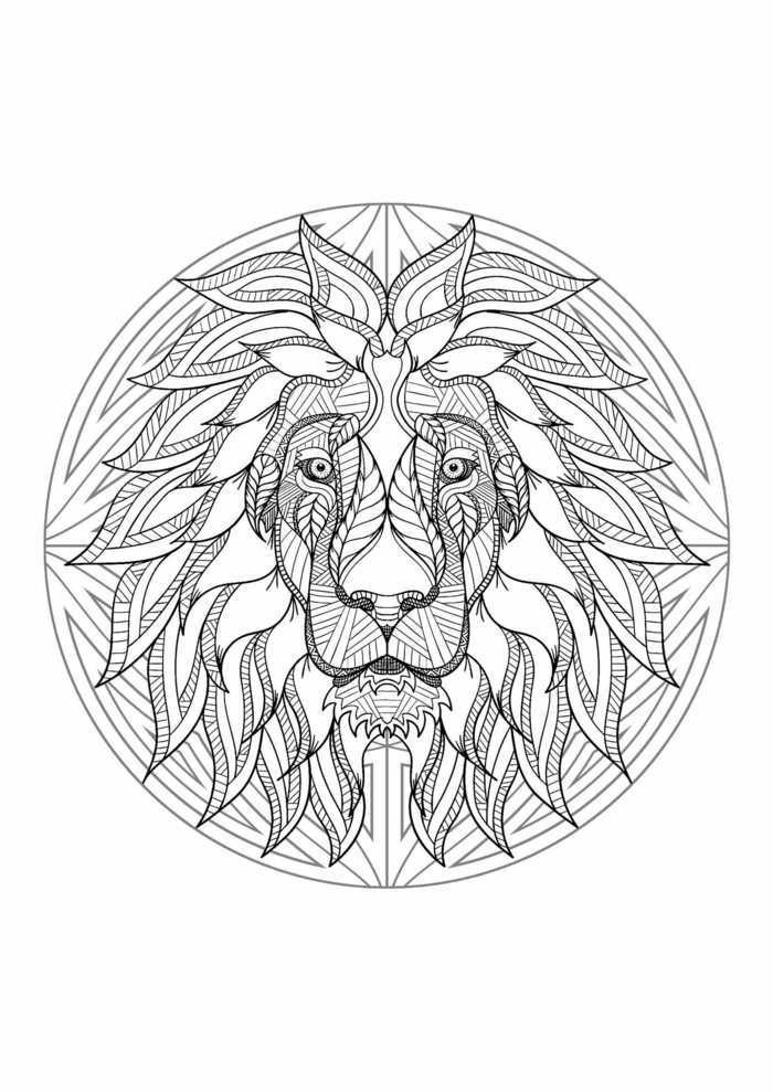 Tete de lion dessin zen animal mandala, coloriage anti stress inspiration mandala adulte à colorier