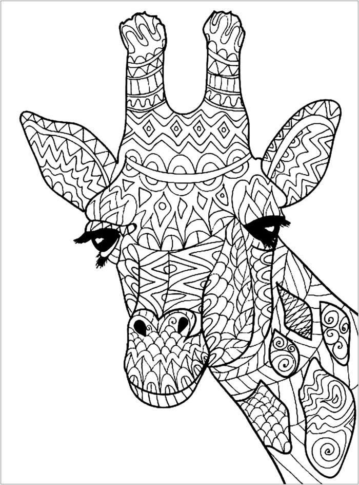 Dessin giraffe coloriage zen style mandala animaux, coloriage anti stress idée que faire à la maison