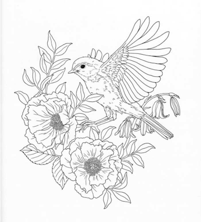 Dessin tatouage oiseau sur fleurs, image coloriage adulte, mandala animaux idée dessin a retracer