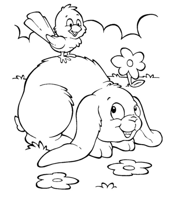 lapin de paques dessin facile pour enfants, illustration facile à imprimer avec animaux dans la nature lapin et oiseau