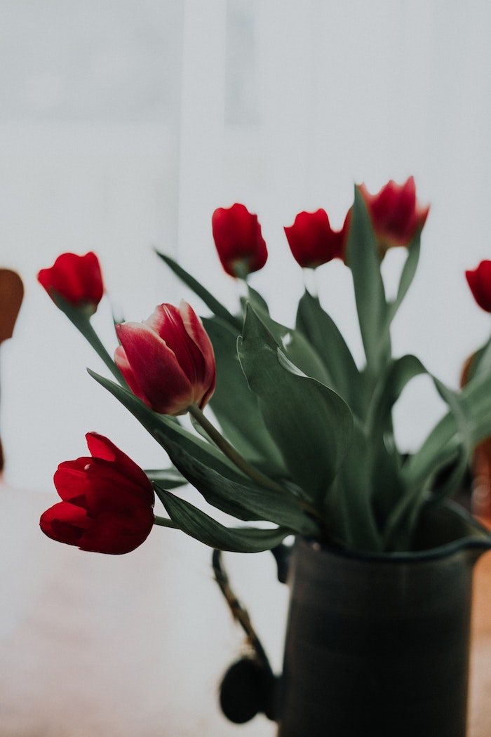 Bouquet de tulipes dans jolie vase cadeau a quelqu'un qu'on aime, idee cadeau paques simple pas cher