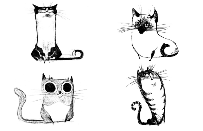 réaliser des dessins amusants et faciles au crayon, exemples de chat dessin facile à faire pour débutants