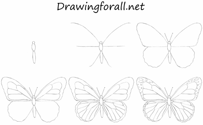 comment dessiner un papillon, idée coloriage papillon beau motif etape par etape 
