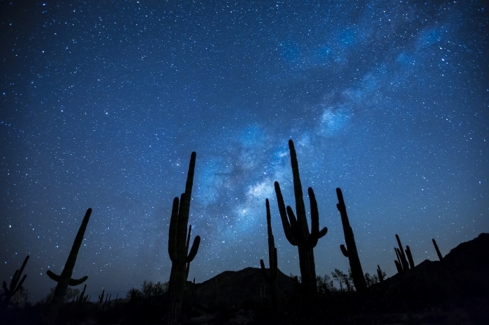 idée de fond d écran gratuit pour ordinateur, photographie de gros cactus dans le désert sous le ciel bleu étoilé