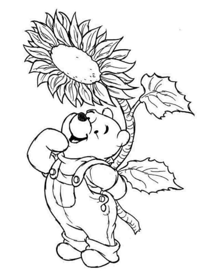 dessin winnie l ourson simple au dessus d un tournesol sur fond blanc, idee coloriage gratuit à imprimer