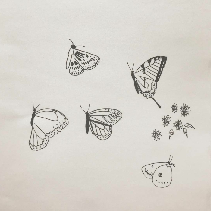 Différentes types de papillons dessin chouette, papier et crayons pour un dessin noir et blanc