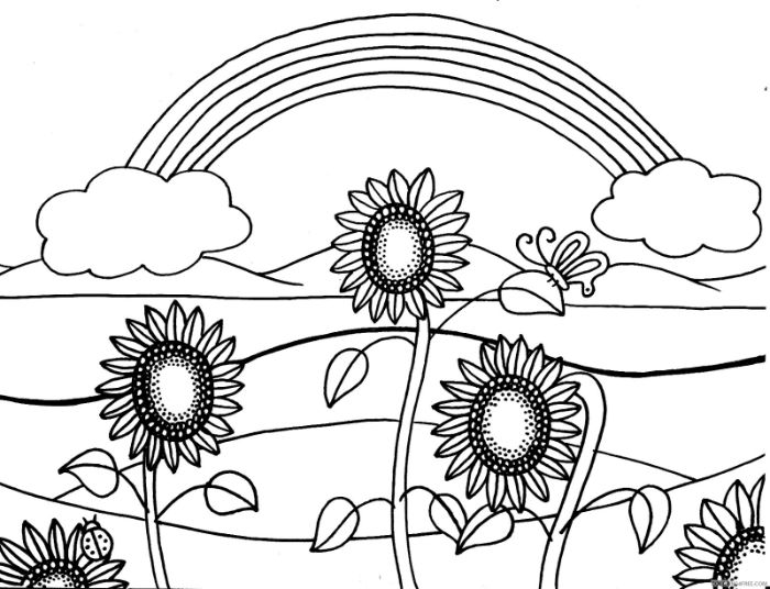 coloriage arc en ciel et tournesols dans un pré, dessin fleurs des champs, paysage simple dessin a colorier