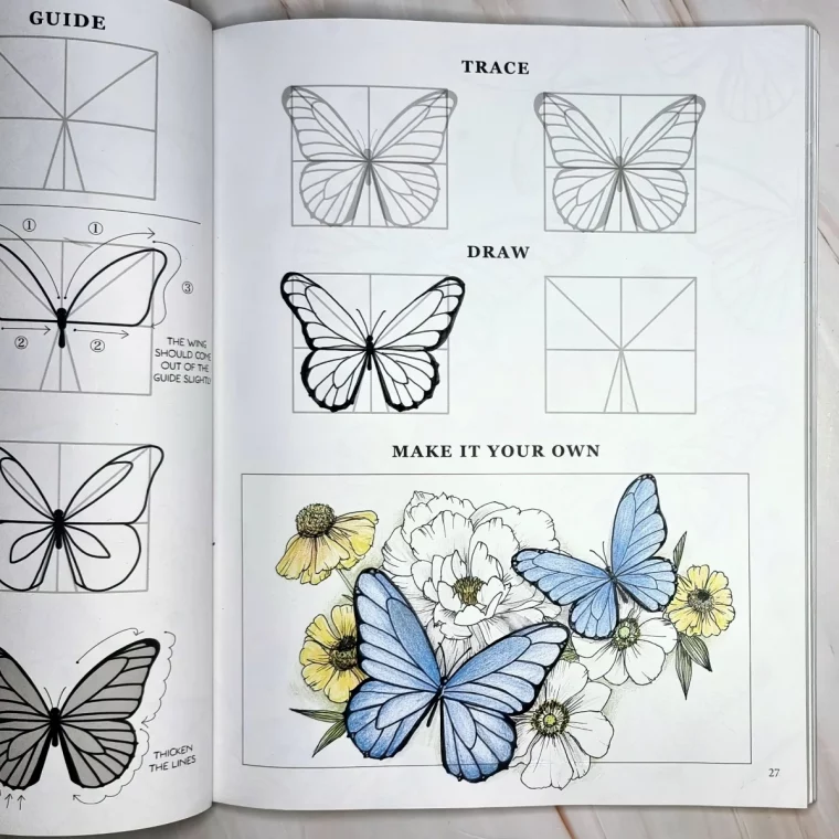 dessin papillon fleur facile etapes sections ailes ornements details