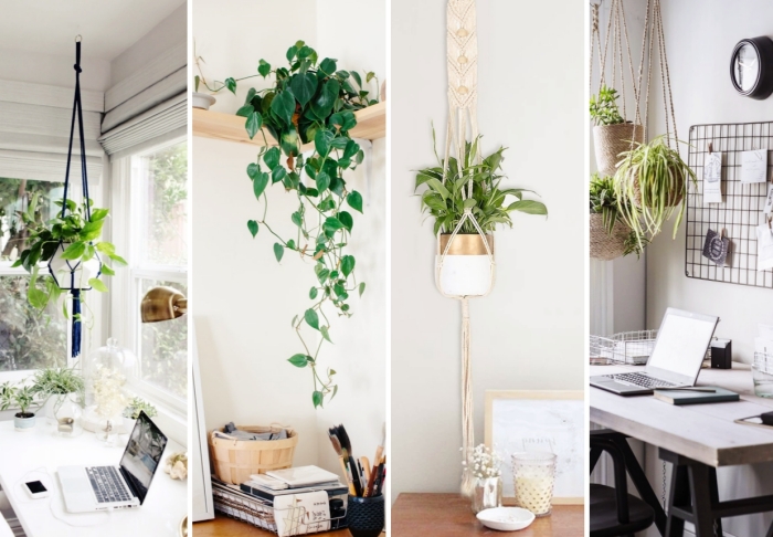 comment décorer son office à domicile avec plante verte intérieur, modèle de plante suspendue dans un bureau bohème chic