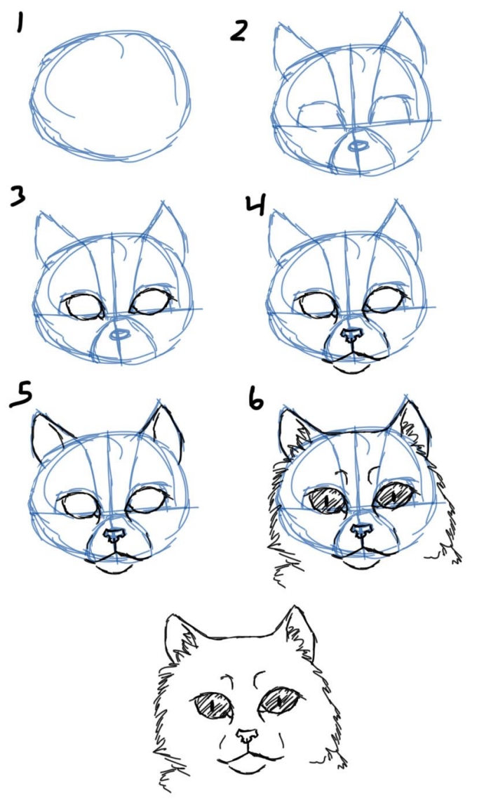 1001 Exemples Et Tutoriels Comment Dessiner Un Chat