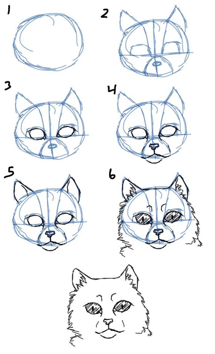 apprendre a dessiner un chat facilement, tutoriel pour apprendre à faire une tête de chat à l'aide de traits de repère