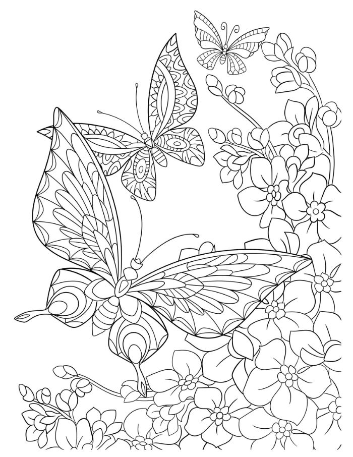 coloriage papillon et fleurs à imprimer, dessin noir et blanc simple sur fond blanc à colorier