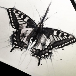 Le dessin de papillon - milles images et idées pour s'inspirer
