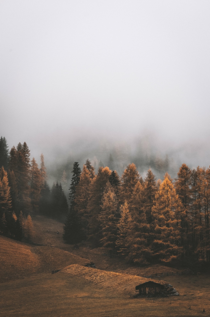 Belle photo de la montagne brouillard, les plus beau fond d'écran, idée d’arrière plan stylé et zen