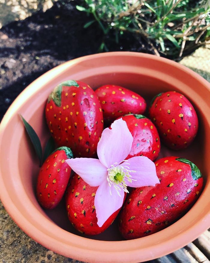 galets peints à motif fraise dans un pot de terre cuite, décoration jardin extérieur avec galets