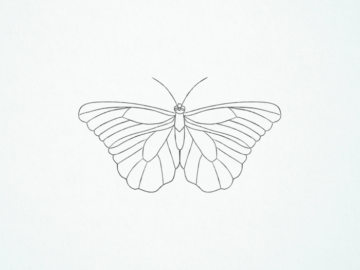 1001 Idees De Dessin De Papillon Pour S Inspirer Et Apprendre Comment Le Dessiner