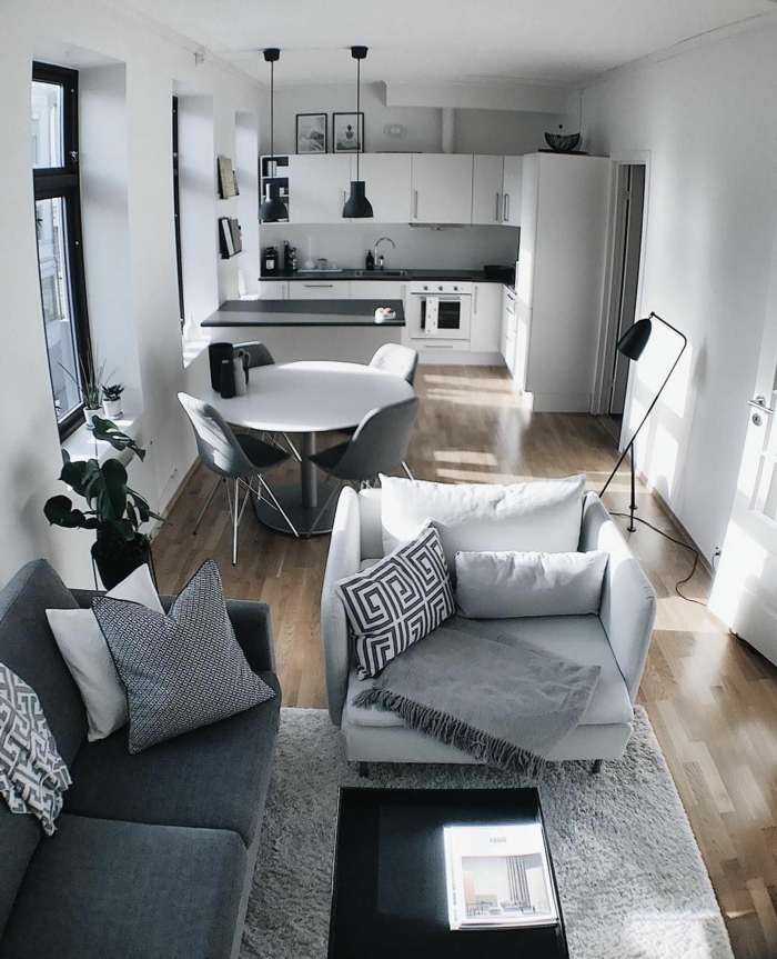 Fauteuil et canapé gris idée déco appartement, amenagement petit espace à décorer pour soi
