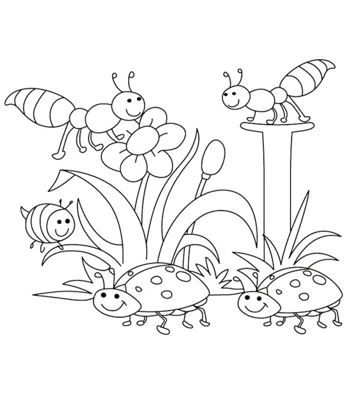 dessin fourmis, abeille et coccinelles entourées de fleurs sur fond blanc, coloriage à imprimer animaux