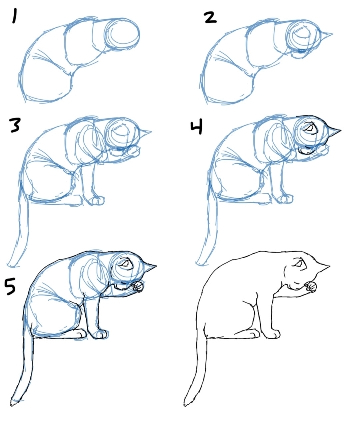comment faire un chat qui dort au crayon en 6 étapes simples, exemple de dessin de chat facile a reproduire