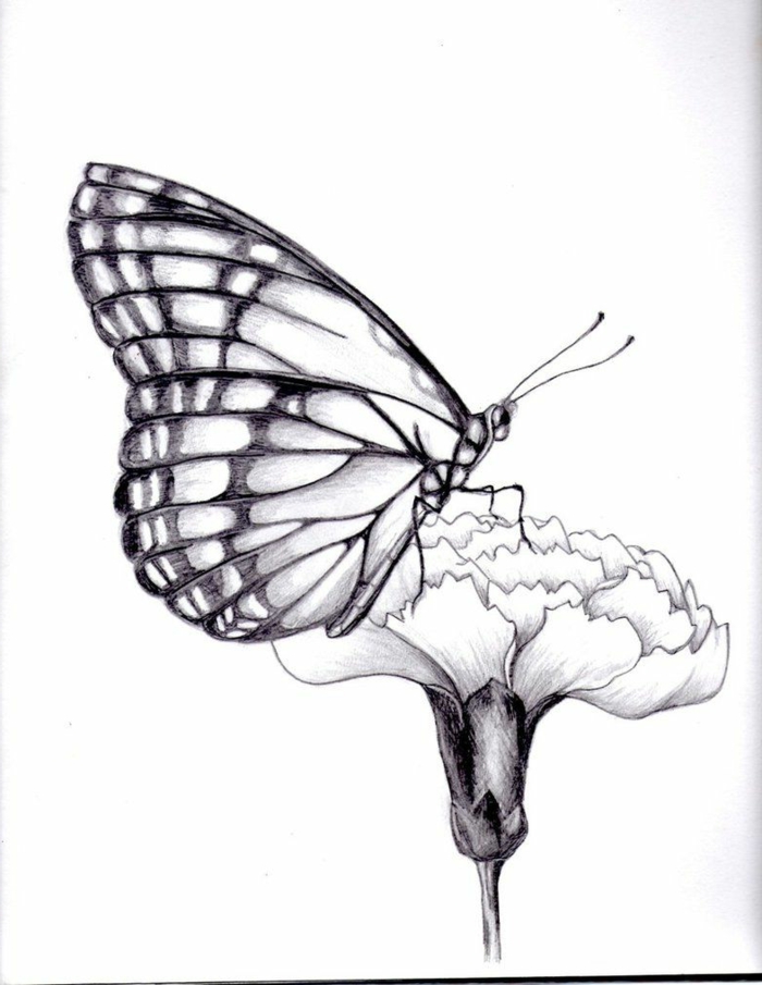 Fleur dessin de papillon, le plus facile dessin pour debutant papillon sur fleur