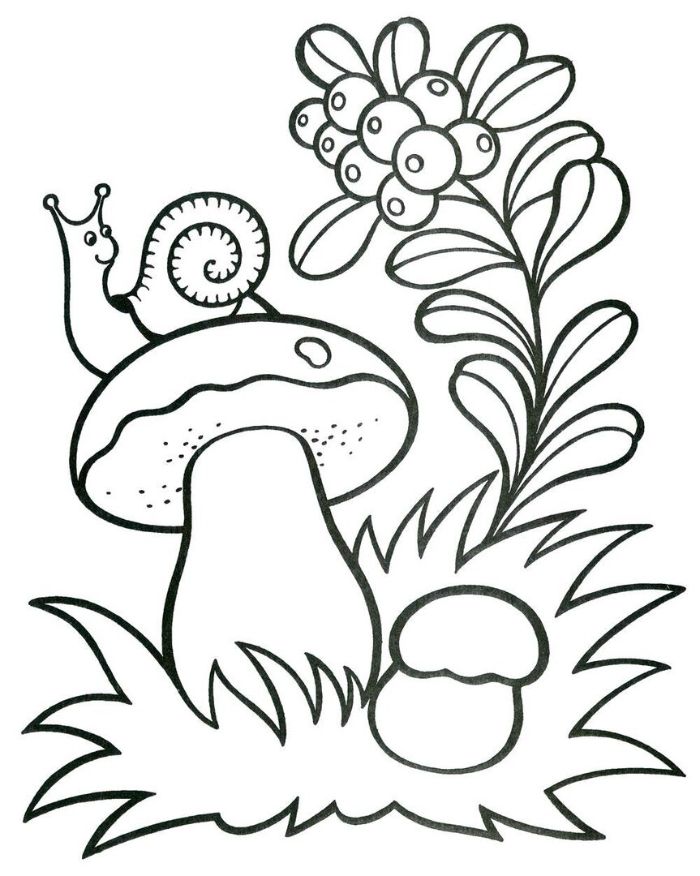 champignon avec limacon en dessus et une branche fleurie à coté, dessin simple theme printemps