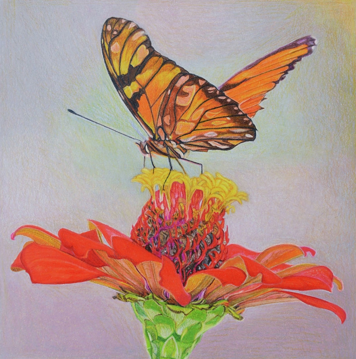 Fleur et papillon dessin coloré, papillon dessin couleur idee a dessiner cool