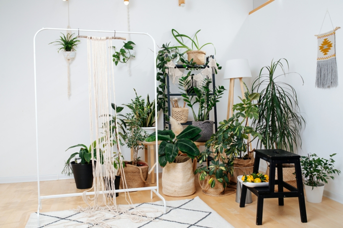 Déco hippie plantes vertes aménagement petit studio, decoration interieur appartement tendance 