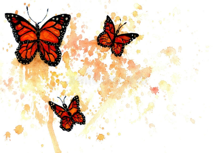 Monarch papillon dessin mignon, les plus beaux papillons, dessin noir et blanc cool et coloré apres