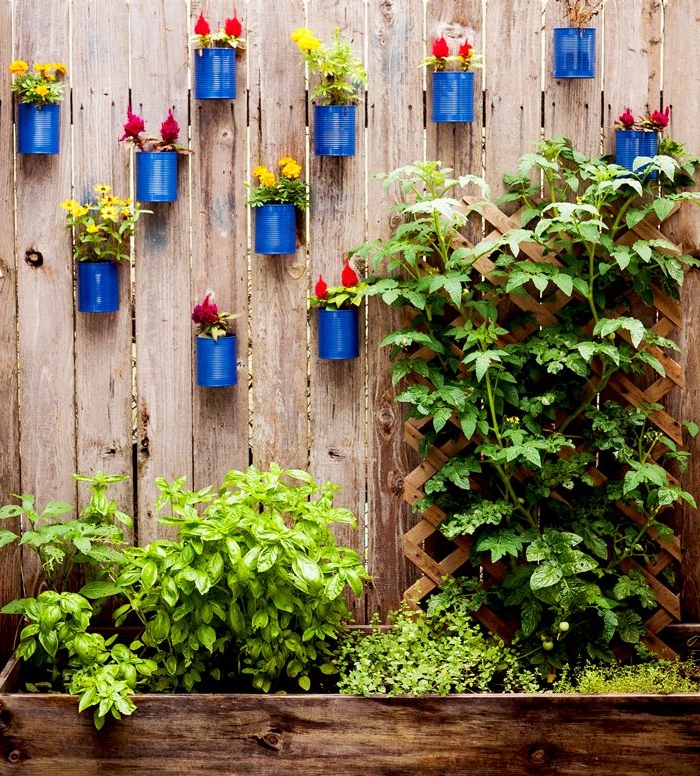 recyclage boite de conserve pour faire jardiniere, mur végétal simple fleuri, idée comment habiller un mur extérieur